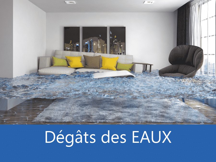 expertise humidité 73, expert humidité Savoie, cause moisissure Chambery, solutions humidité Albertville,